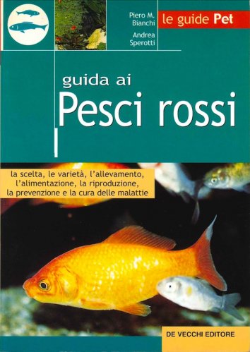 Guida ai pesci rossi