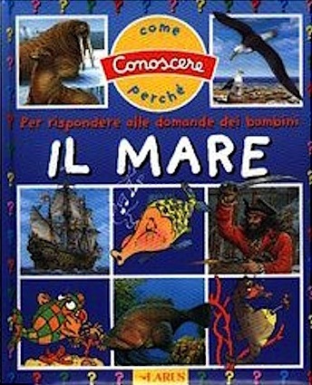 Come e perchè il mare