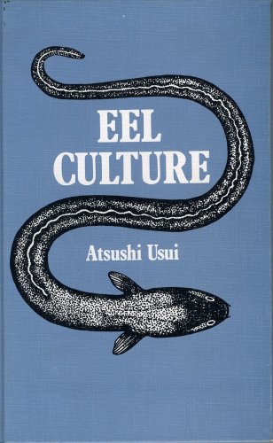 Eel culture