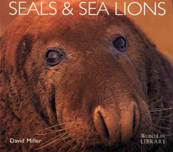 Seals & sea lions