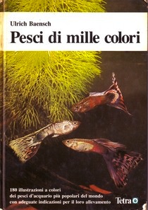 Pesci di mille colori