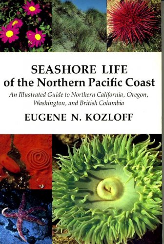 Seashore life of the Northern Pacific coast