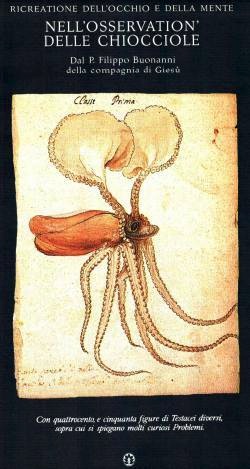 Ricreatione dell'occhio e della mente nell'osservation delle chiocciole