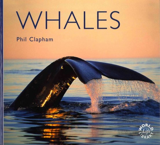 Whales - edizione economica