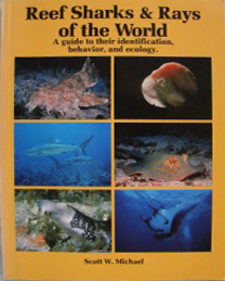 Reef sharks & rays of the world