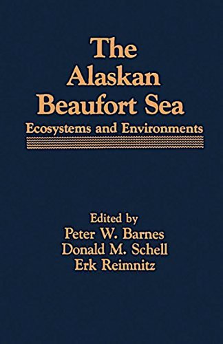 Alaskan Beaufort sea