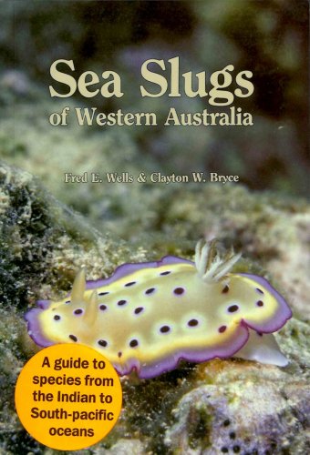 Sea slugs and their relatives of western Australia