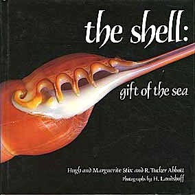 Shell: gift of the sea