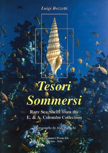 Tesori sommersi