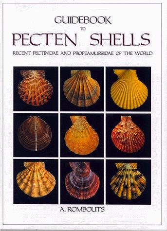 Guidebook to Pecten shells