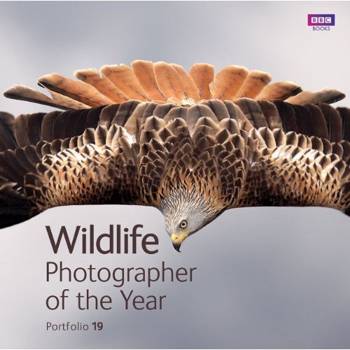 Wildlife photographer of the year - portfolio 19