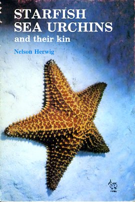 Starfish sea urchins and their kin