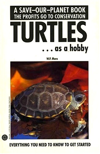 Turtles as a hobby