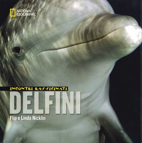 Incontri ravvicinati - delfini