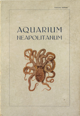 Aquarium Neapolitanum