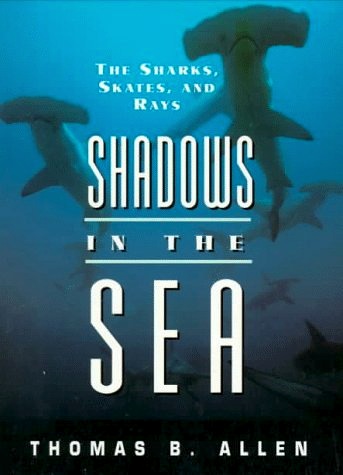 Shadows in the sea