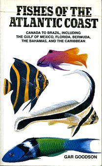 Fishes of the atlantic coast