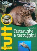 Tartarughe e testuggini
