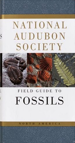Audubon Society field guide to North American fossils