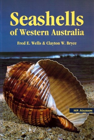 Seashells of western Australia