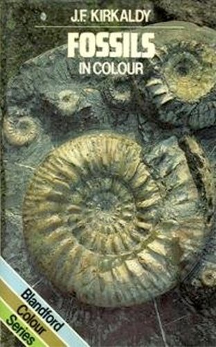 Fossils in colour