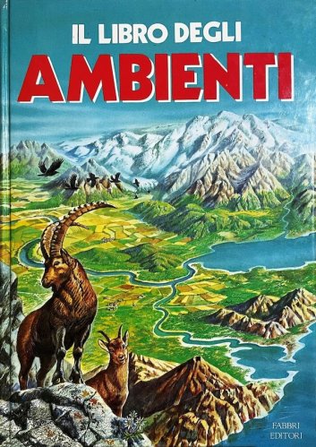 Libro degli ambienti