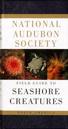 Audubon Society field guide to North American seashore creatures