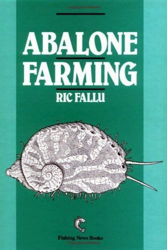 Abalone farming