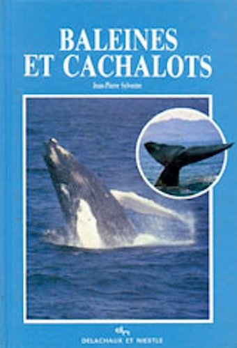 Baleines et Cachalots