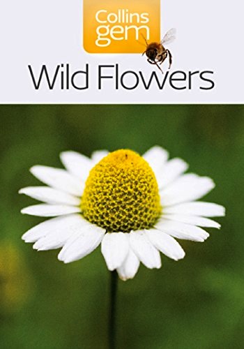 Wild flowers