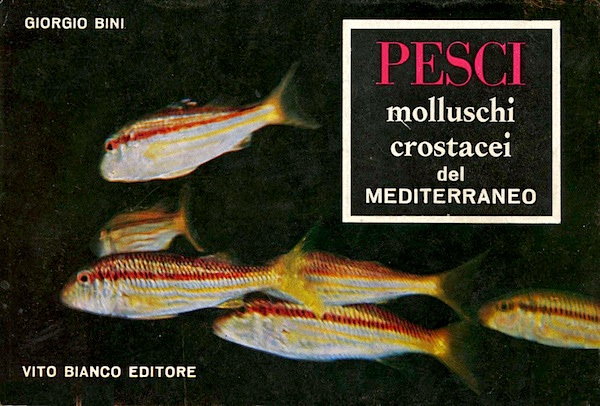 Pesci molluschi crostacei del Mediterraneo