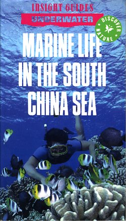 Marine life in the South China sea