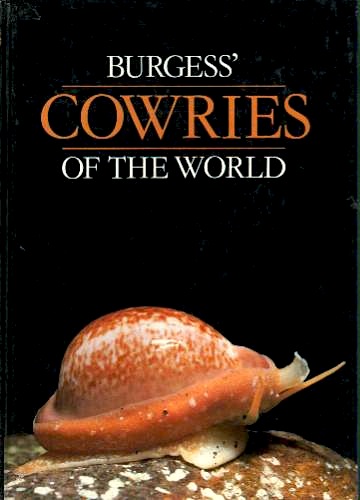 Burgess' cowries of the world