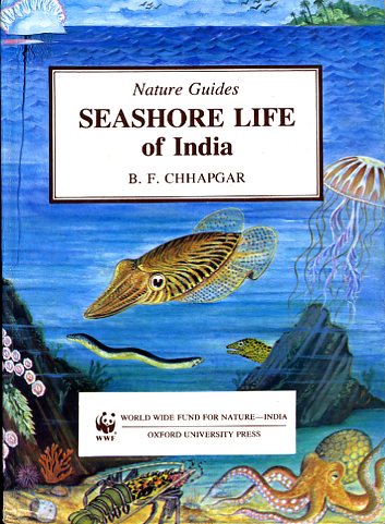 Seashore life of India