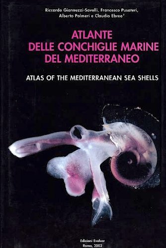 Atlante delle conchiglie marine del Mediterraneo vol.2