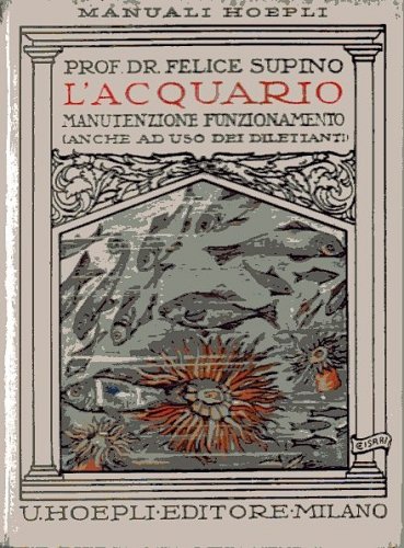 Acquario