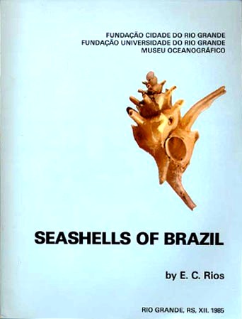 Seashells of Brazil
