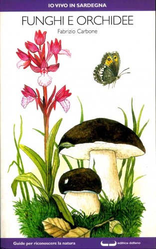 Funghi e orchidee