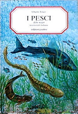 Pesci delle acque territoriali italiane