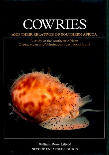 Cowries and their relatives of Southern Africa