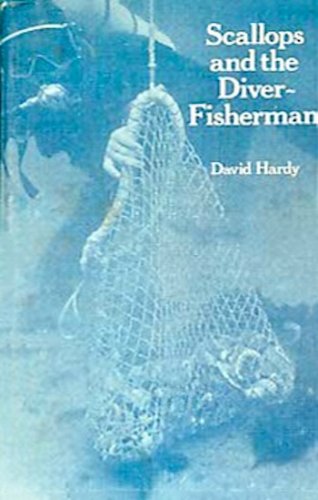 Scallops and the diver fisherman