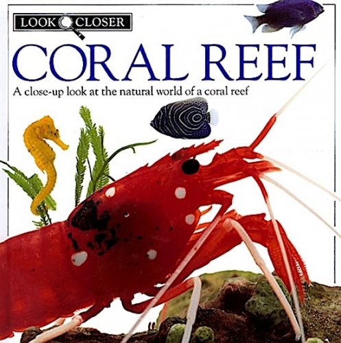 Coral reef