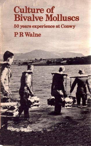 Culture of bivalve molluscs