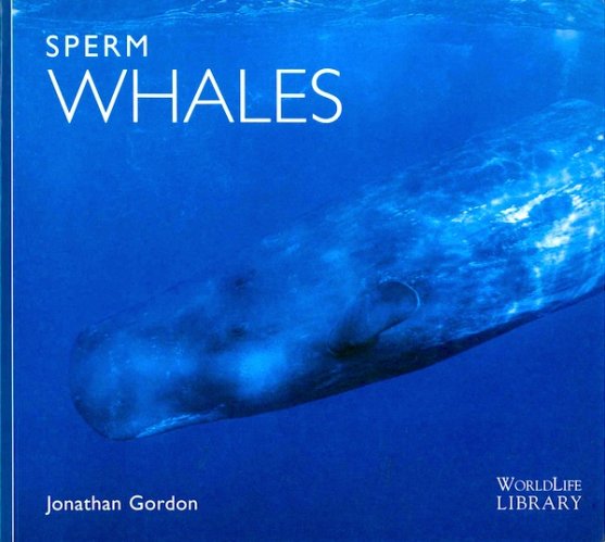 Sperm whales