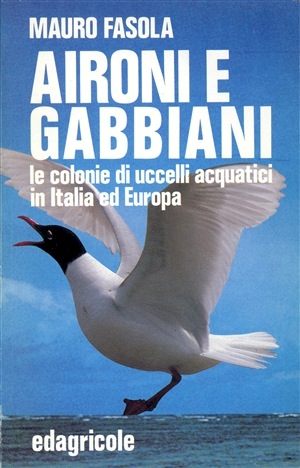 Aironi e gabbiani