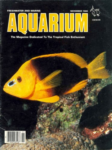 Freshwater and marine aquarium vol.11 n.11
