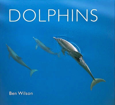 Dolphins