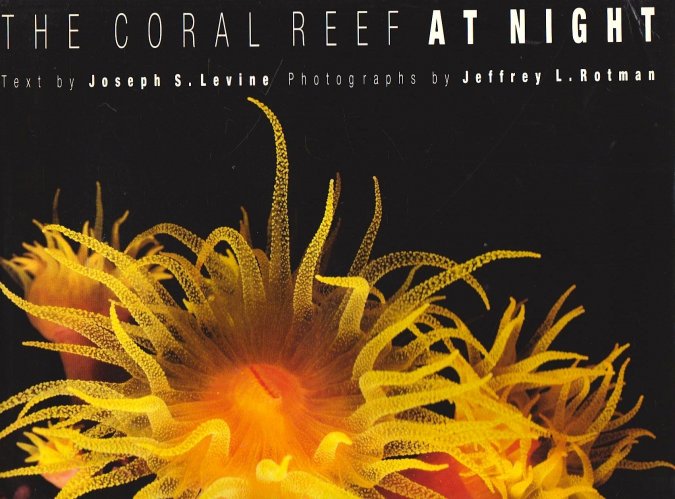 Coral reef at night