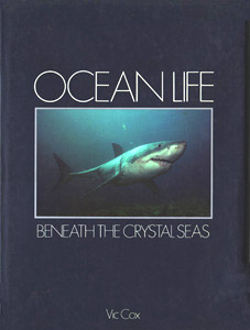 Ocean life beneath the crystal seas
