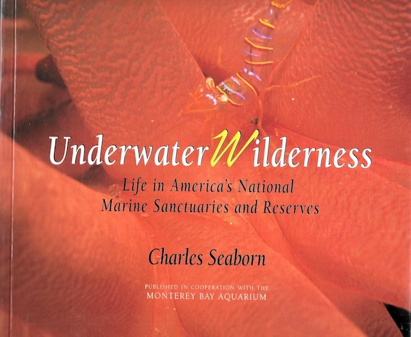 Underwater wilderness